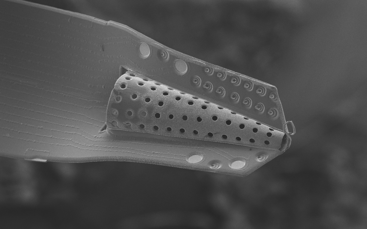 SEM of Parylene probe